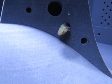 京都水族館に投稿された画像（2021/10/31）