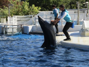 京都水族館に投稿された画像（2021/10/31）