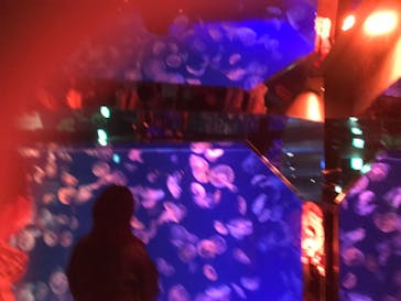 名古屋港水族館に投稿された画像（2021/11/1）