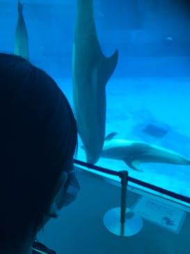 名古屋港水族館に投稿された画像（2021/11/1）