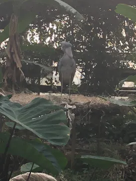 神戸どうぶつ王国に投稿された画像（2021/11/1）