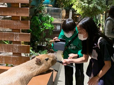 Moff animal world MARK IS みなとみらい店に投稿された画像（2021/11/1）