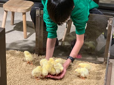 Moff animal world MARK IS みなとみらい店に投稿された画像（2021/11/1）