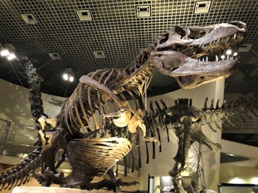 国立科学博物館に投稿された画像（2021/11/1）