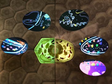 国立科学博物館に投稿された画像（2021/11/1）