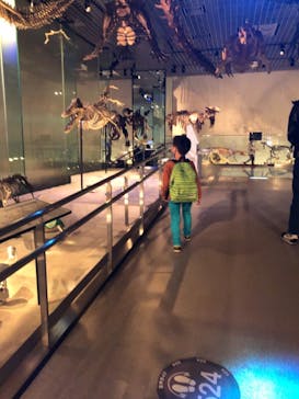 国立科学博物館に投稿された画像（2021/11/1）