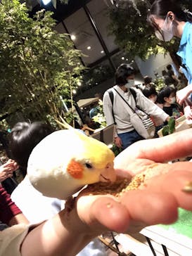 Moff animal world MARK IS みなとみらい店に投稿された画像（2021/11/1）