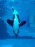 名古屋港水族館に投稿された画像（2021/11/1）