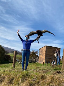 那須どうぶつ王国に投稿された画像（2021/11/1）