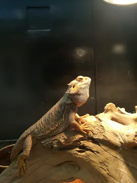 天王寺動物園に投稿された画像（2021/11/1）