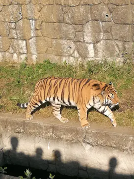 天王寺動物園に投稿された画像（2021/11/1）