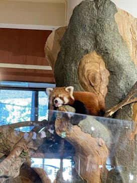 ネオパークオキナワに投稿された画像（2021/11/1）