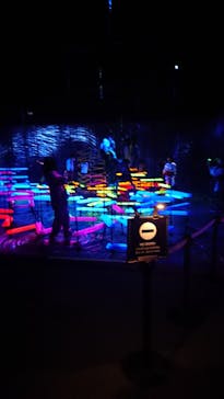 森ビル デジタルアート ミュージアム：エプソン チームラボボーダレスに投稿された画像（2021/11/1）