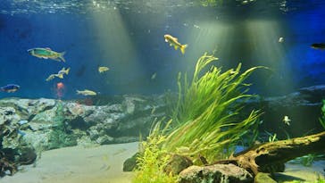 サンシャイン水族館に投稿された画像（2021/11/1）