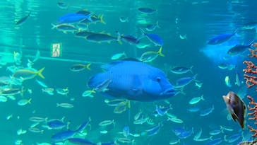 サンシャイン水族館に投稿された画像（2021/11/1）