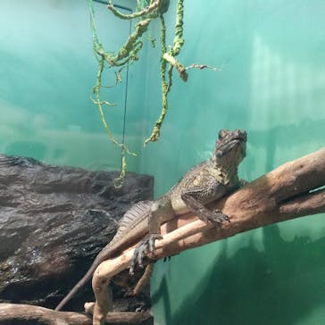 サンシャイン水族館に投稿された画像（2021/11/1）