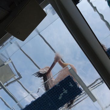 サンシャイン水族館に投稿された画像（2021/11/1）