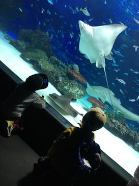 サンシャイン水族館に投稿された画像（2021/11/1）
