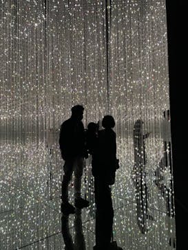 森ビル デジタルアート ミュージアム：エプソン チームラボボーダレスに投稿された画像（2021/11/1）