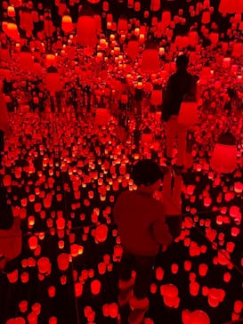 森ビル デジタルアート ミュージアム：エプソン チームラボボーダレスに投稿された画像（2021/11/1）