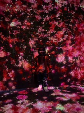 森ビル デジタルアート ミュージアム：エプソン チームラボボーダレスに投稿された画像（2021/11/1）