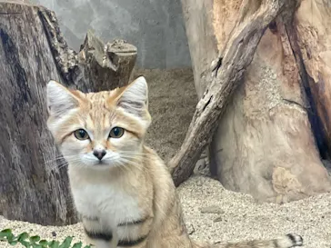 神戸どうぶつ王国に投稿された画像（2021/11/1）