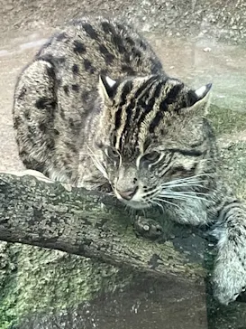 神戸どうぶつ王国に投稿された画像（2021/11/1）