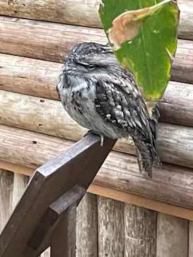 神戸どうぶつ王国に投稿された画像（2021/11/1）