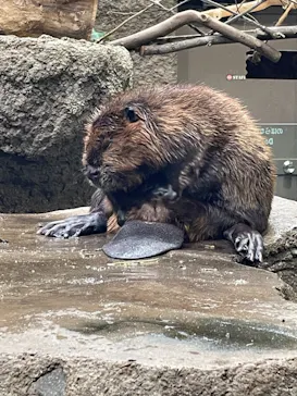 神戸どうぶつ王国に投稿された画像（2021/11/1）