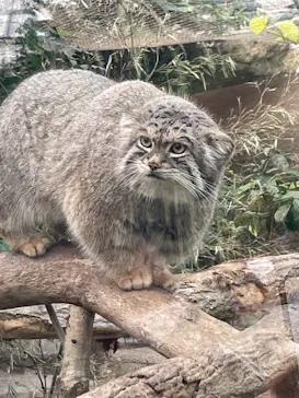 神戸どうぶつ王国に投稿された画像（2021/11/1）