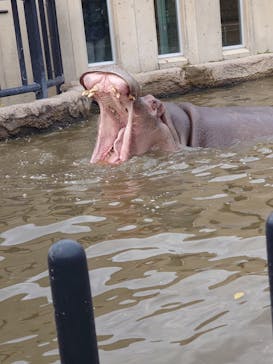 旭川市旭山動物園に投稿された画像（2021/11/1）