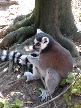 神戸どうぶつ王国に投稿された画像（2021/11/1）