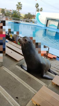 南知多ビーチランド＆南知多おもちゃ王国に投稿された画像（2021/11/1）