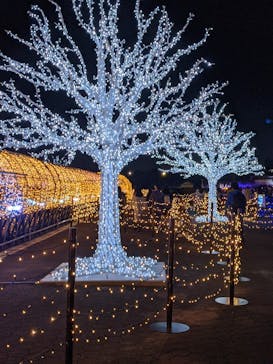 東京メガイルミに投稿された画像（2021/11/1）