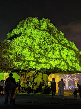 東京メガイルミに投稿された画像（2021/11/1）