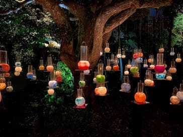 新江ノ島水族館に投稿された画像（2021/11/1）