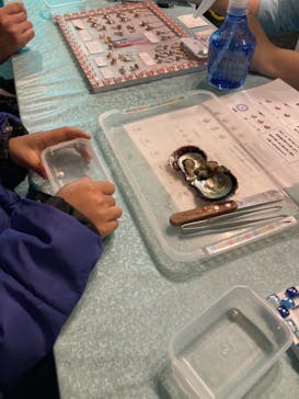 しながわ水族館に投稿された画像（2021/11/1）