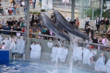 大分マリーンパレス水族館 「うみたまご」に投稿された画像（2021/10/31）