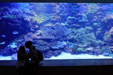 大分マリーンパレス水族館 「うみたまご」に投稿された画像（2021/10/31）