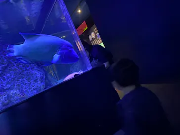 すみだ水族館に投稿された画像（2021/11/1）