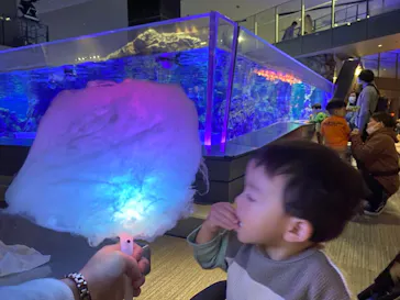 すみだ水族館に投稿された画像（2021/11/1）