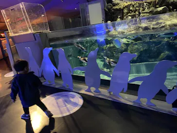 すみだ水族館に投稿された画像（2021/11/1）