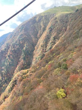 びわ湖バレイに投稿された画像（2021/11/1）