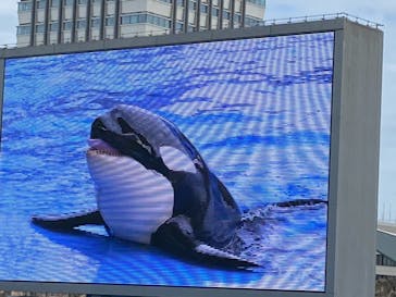 名古屋港水族館に投稿された画像（2021/11/1）