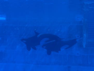 名古屋港水族館に投稿された画像（2021/11/1）