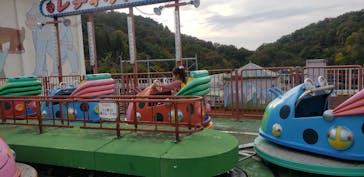 日本モンキーパークに投稿された画像（2021/11/1）