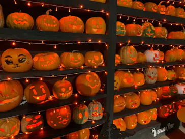 ひらかたパークに投稿された画像（2021/11/1）