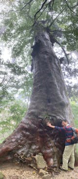 屋久島ガイド21EC-Kに投稿された画像（2021/11/1）