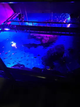 横浜・八景島シーパラダイスに投稿された画像（2021/11/1）