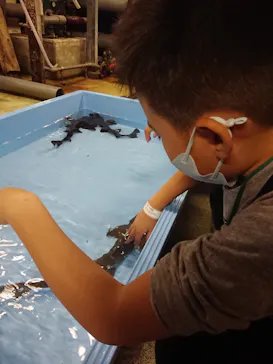 横浜・八景島シーパラダイスに投稿された画像（2021/11/1）